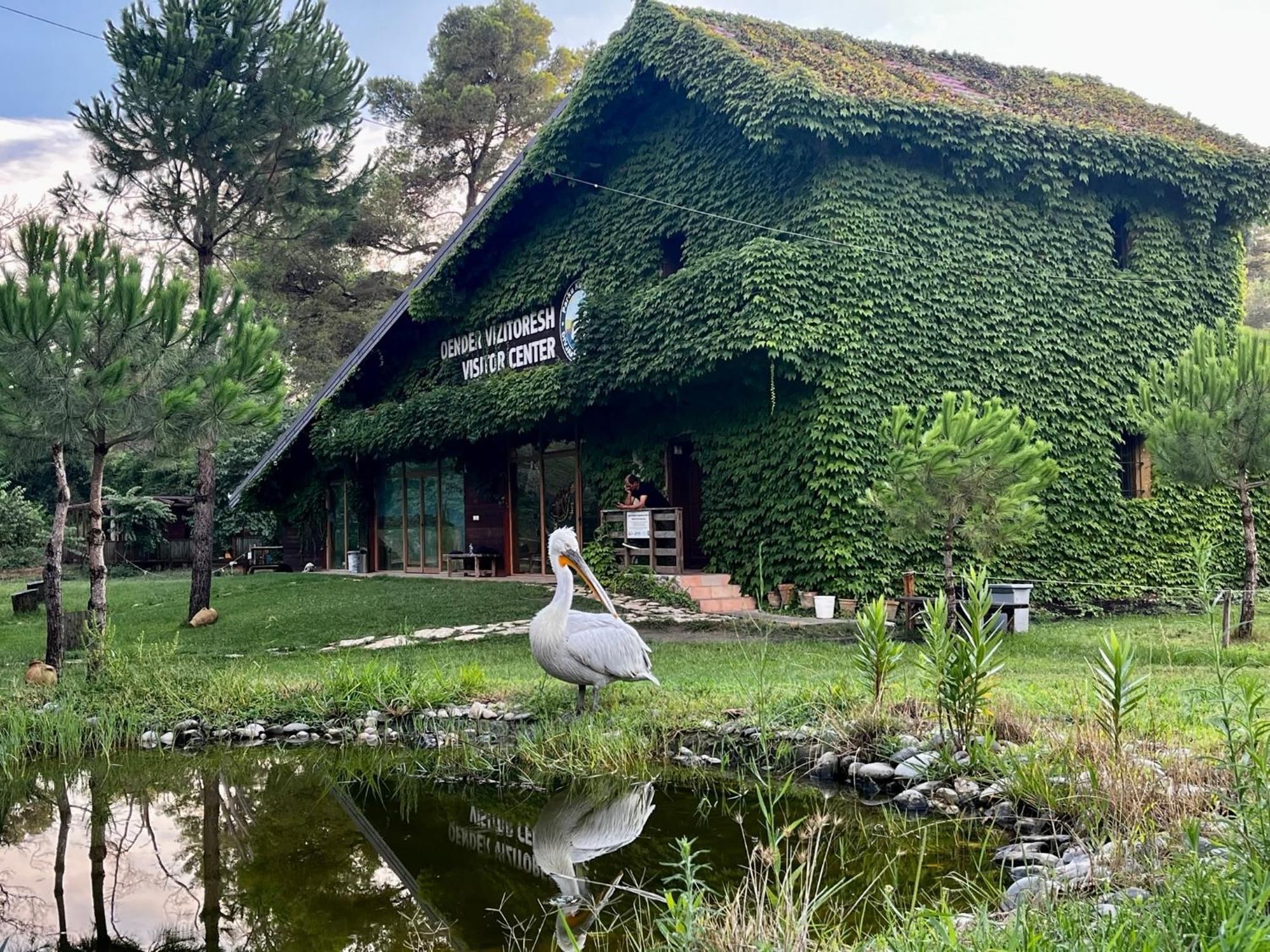 H&A Guest House Divjake Εξωτερικό φωτογραφία